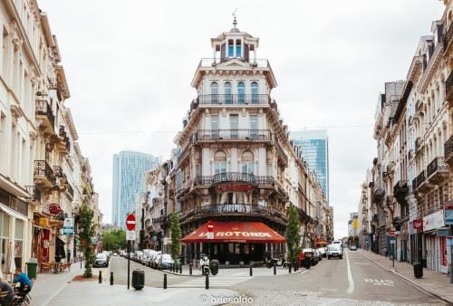 La Petite Forêt | Art Deco Apartment in Brussels Hotel in Brussels