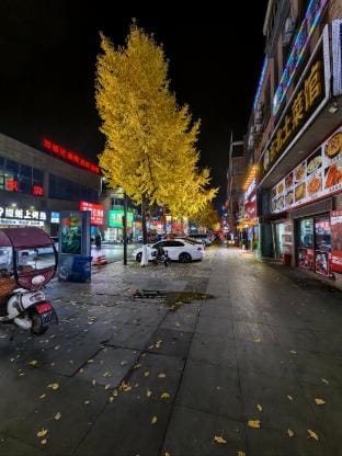Alice Hotel (Wuhu Central City Store) Hotel in Nanjing