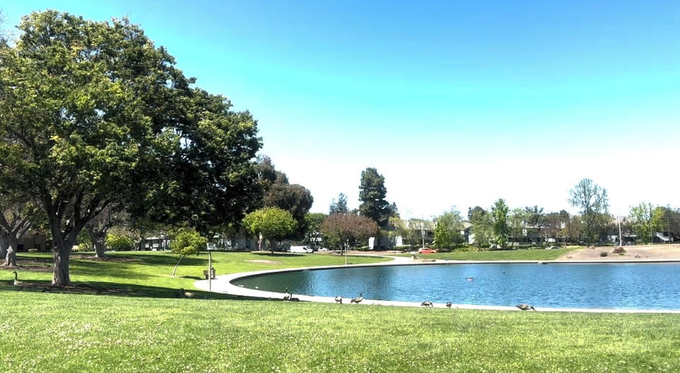 Silicon Valley Airbnb Hotel in Sunnyvale