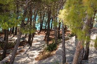 Lavica Bellevue studio apartments Hotel in Podstrana