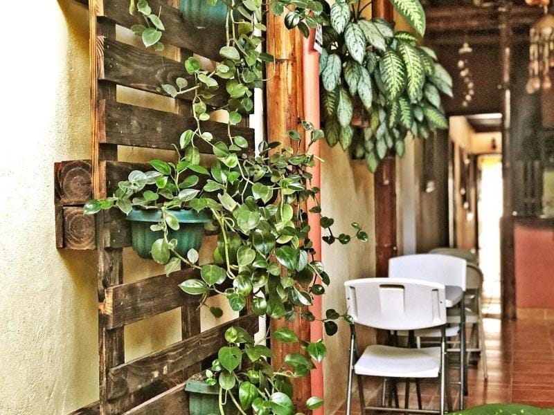 PACANDE HOTEL Hotel in Alajuela