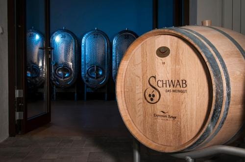 Pension Weingut Schwab Hotel in Hesse