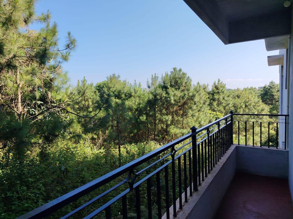 Surrounding environment