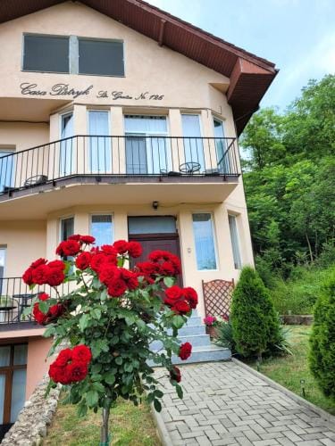 Casa Patryk Hotel in Serbia