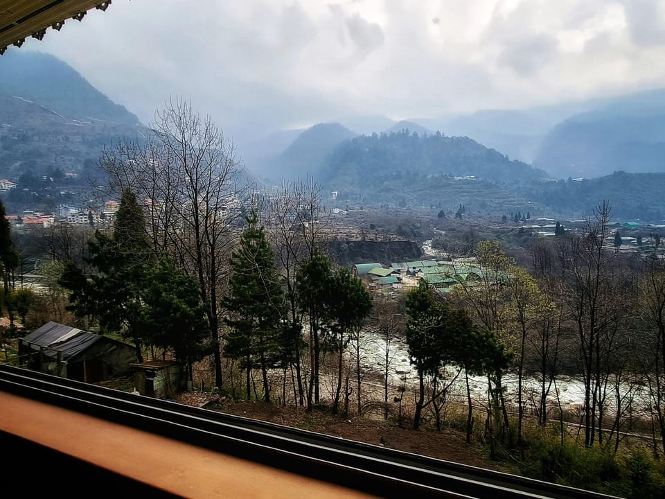 View