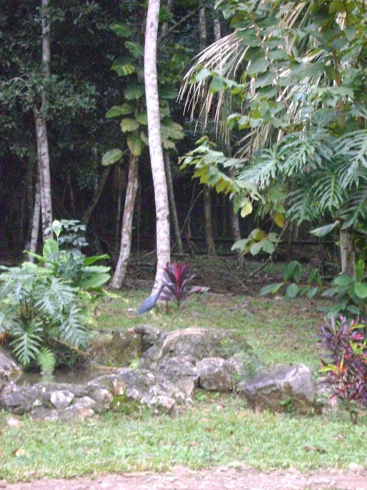 Ixpanpajul Hotel in Guatemala