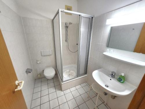 Pension Blumchen am Kiesgrube Hotel in Dresden