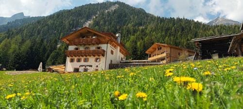 Berggasthof Stallwies Inn in Trentino-South Tyrol