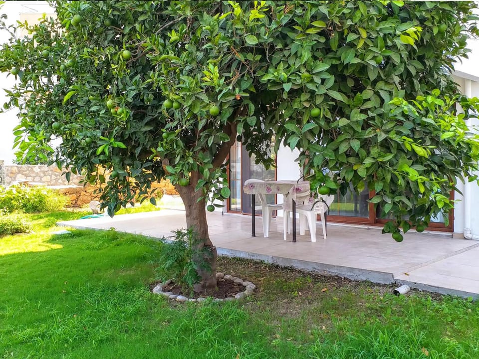 Ertem Apart Apartment hotel in Muğla Province
