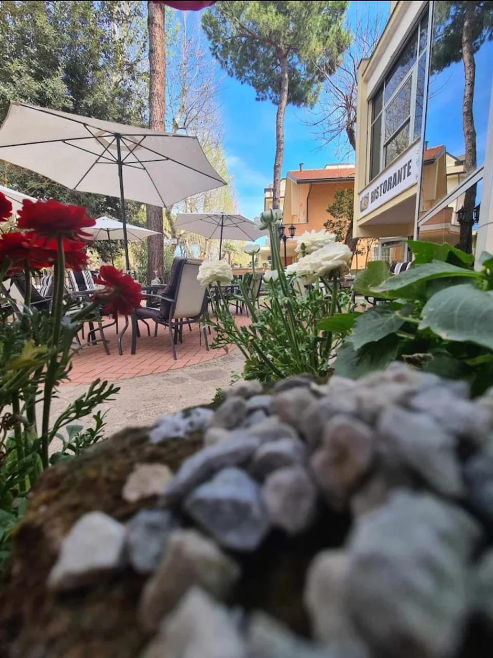 Hotel Anny Cervia  Hotel in Cervia