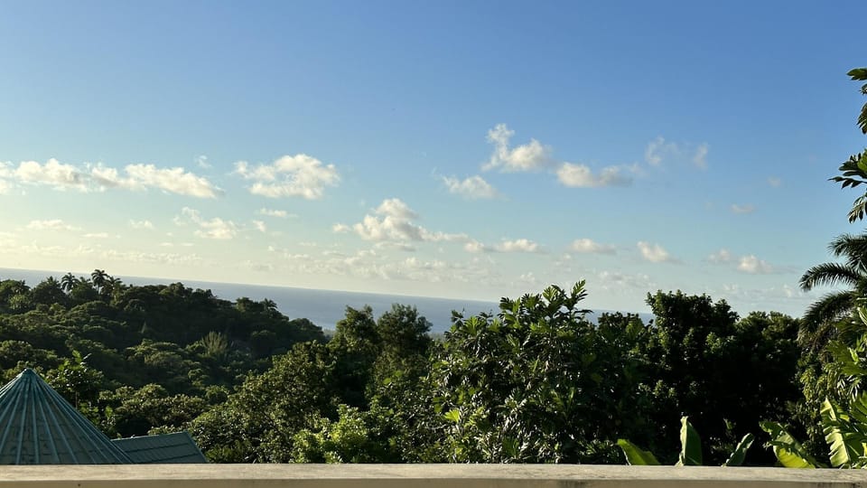 Villa Nilaja Hotel in Montego Bay