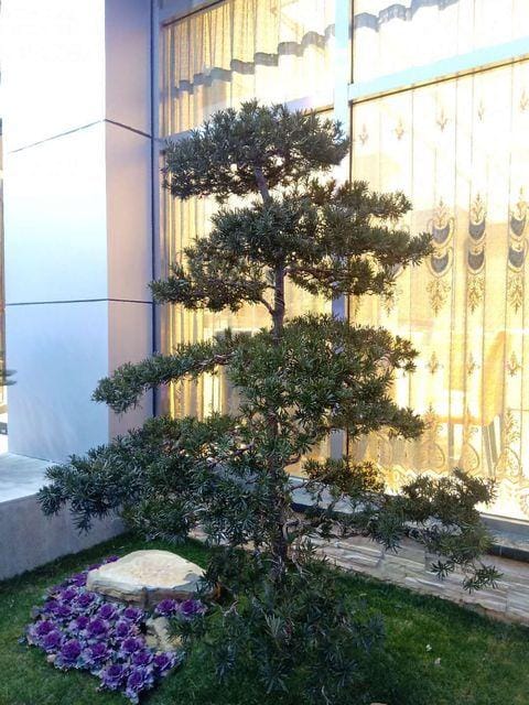 Nanjing Ruihua Hotel (Xiaozhuang Metro Station) Hotel in Nanjing