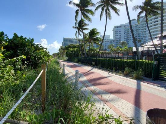 NEWLY RENOVATED! 4 Bed 3 Bath Bachelorette Beach Pad 821 Hotel in Miami Beach