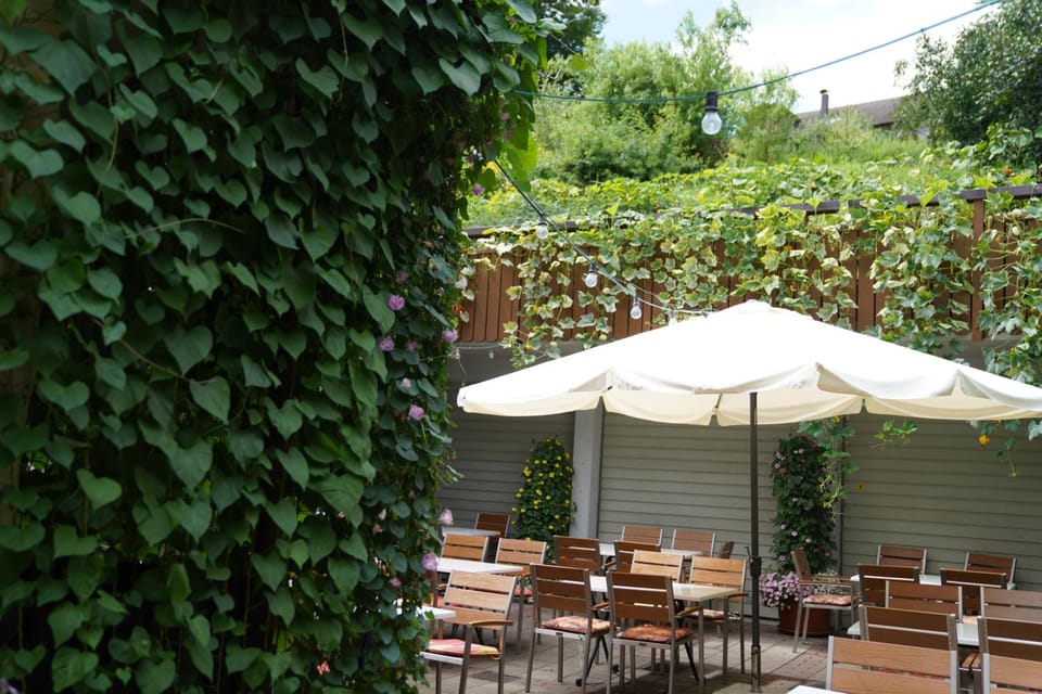 Gasthaus Zur Rose Inn in Bad Mergentheim
