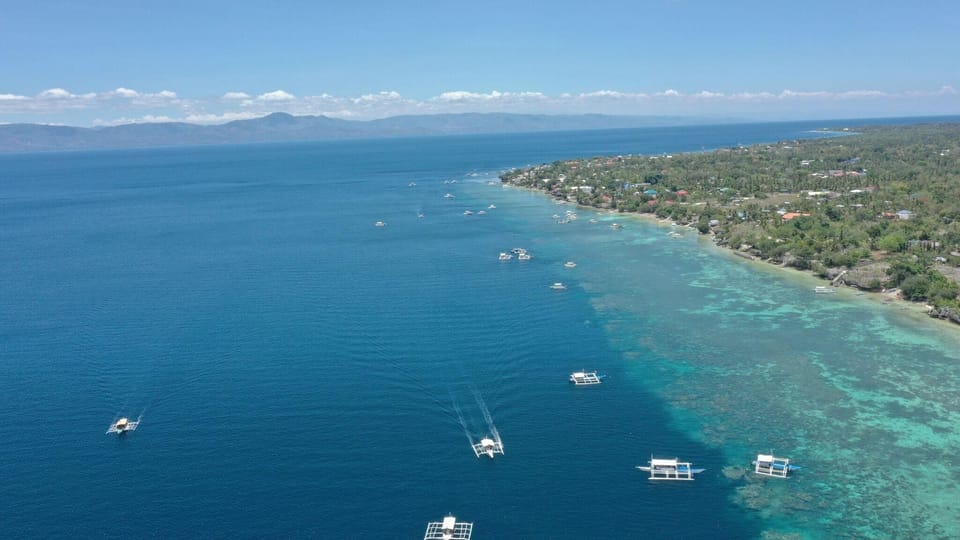 Oslob New Village Lodge by Cocotel Hotel in Oslob