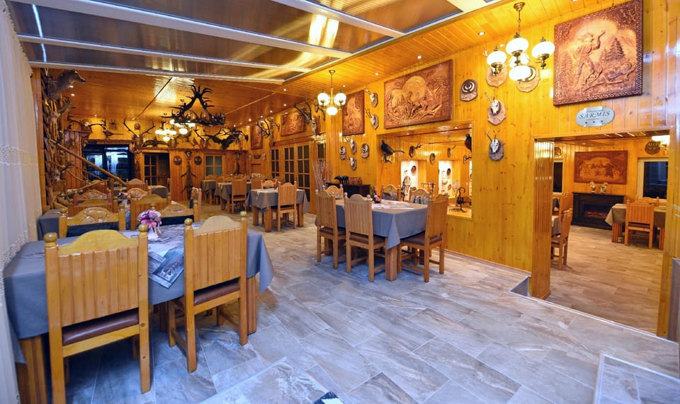 Pensiunea Sarmis Hotel in Serbia