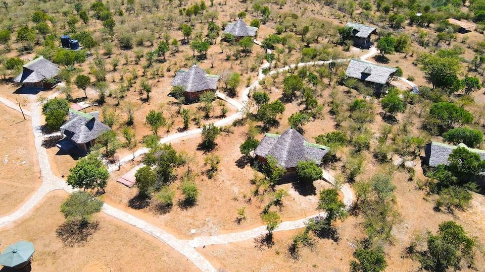 Orngatuny Mara King Camp Hotel in Kenya