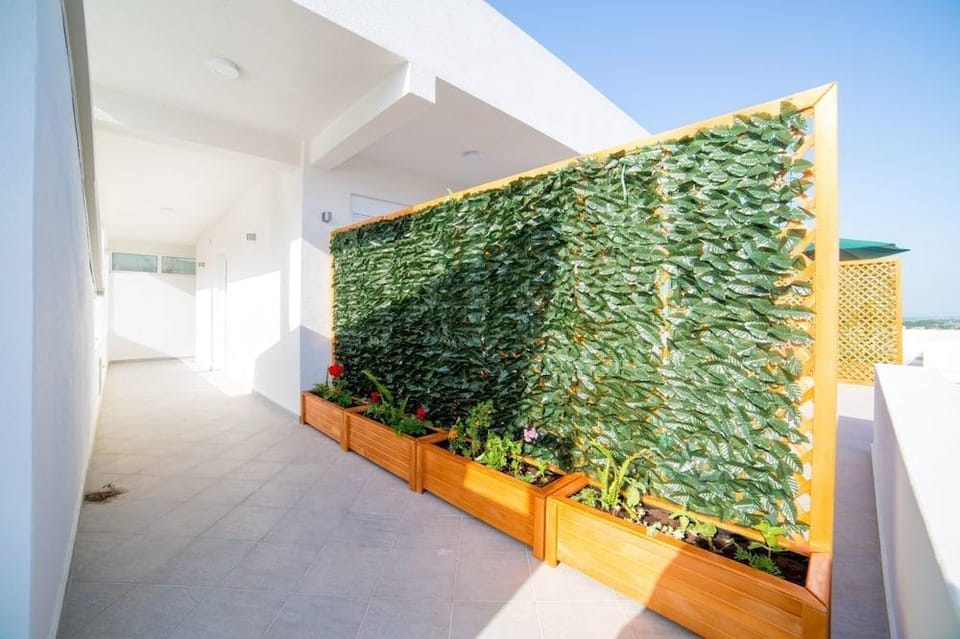 Apartmens Rex Hotel in Ulcinj