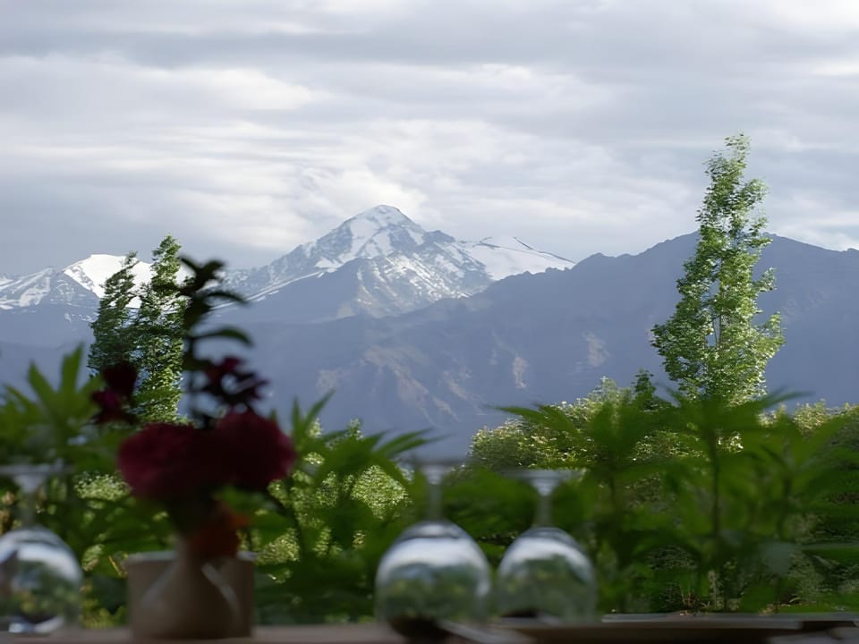 The Druk Ladakh Hotel Hotel in India