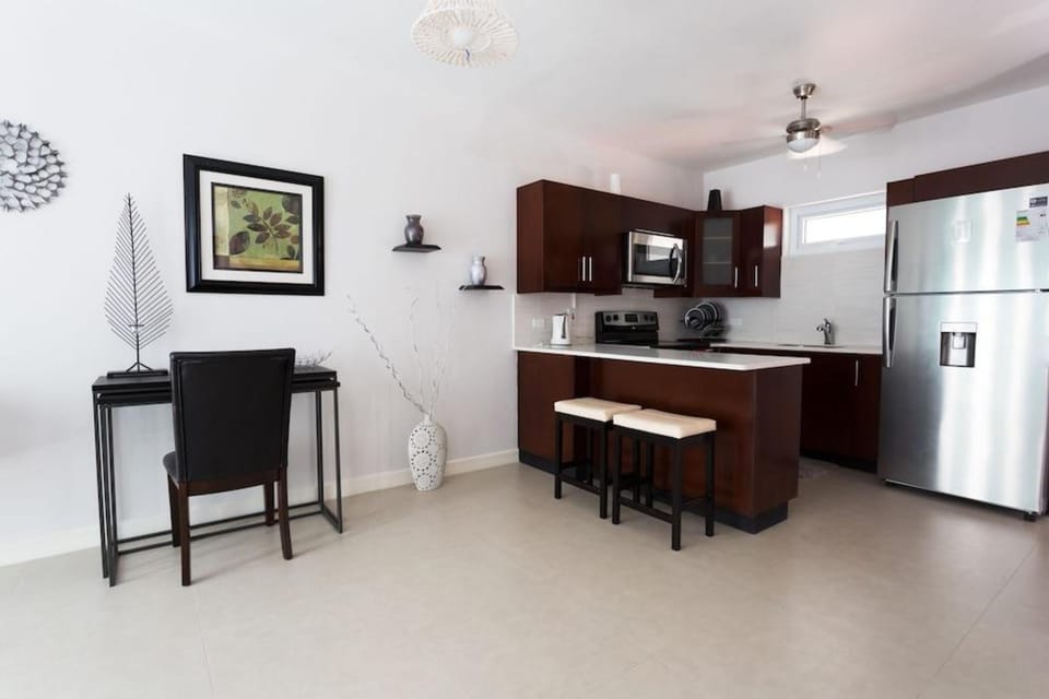 Kingston Luxury Guest Apt at Sullivan Hotel in Kingston