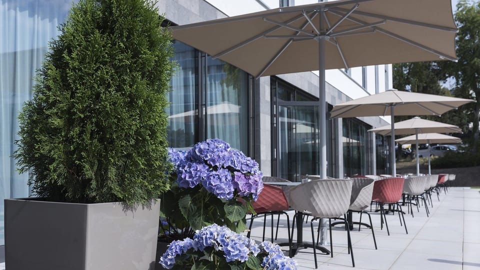Holiday Inn Express Wiesbaden By IHG Hotel in Wiesbaden