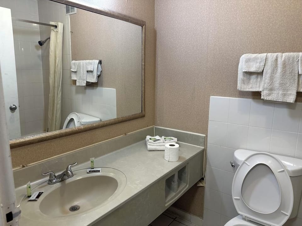 Econo Lodge Hotel in Flint