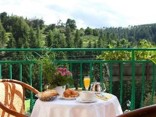 Logis Hotel Des Sapins Hotel in Auvergne-Rhône-Alpes