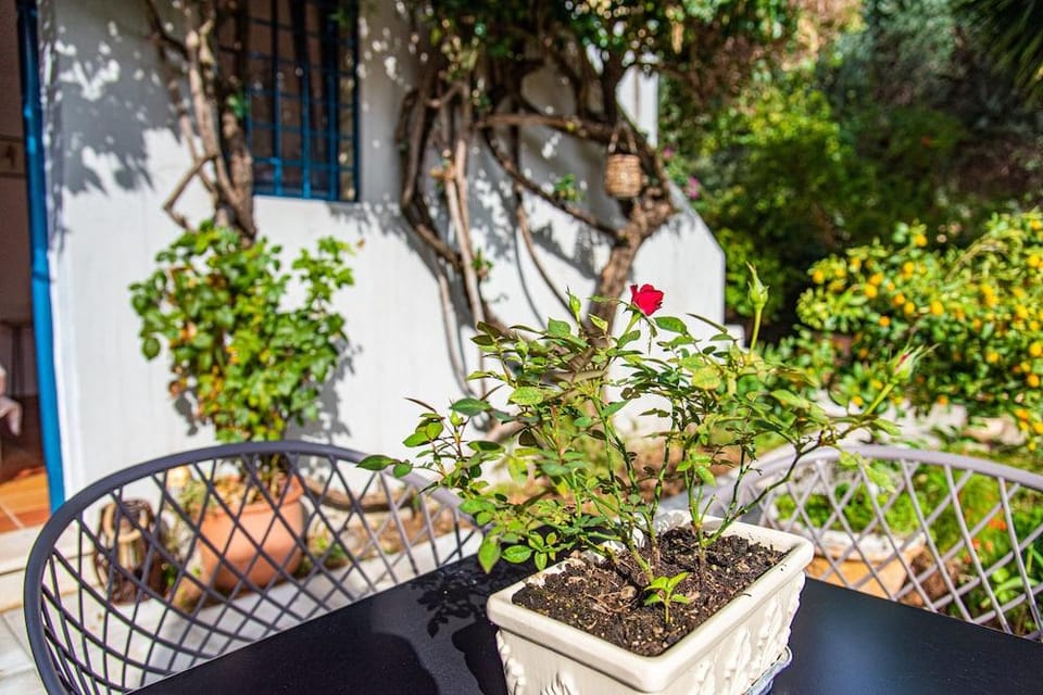 Barbati Boutique Studio Hotel in Peloponnese, Western Greece and the Ionian