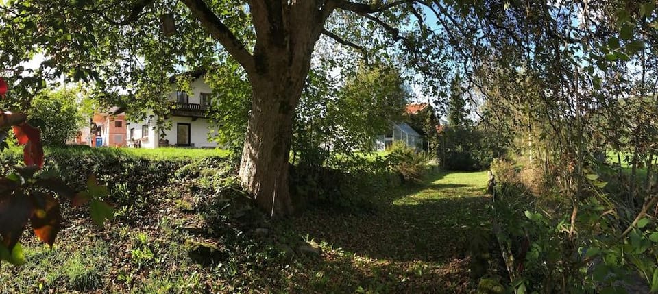 Pure nature alps Hotel in Bavaria