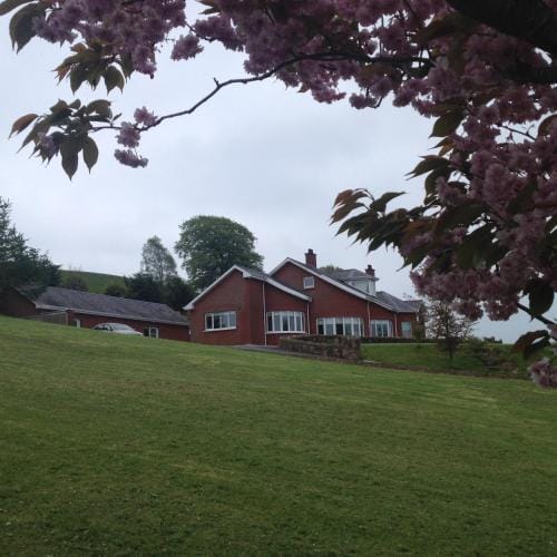 White Hill Country House B&B Hotel in Northern Ireland