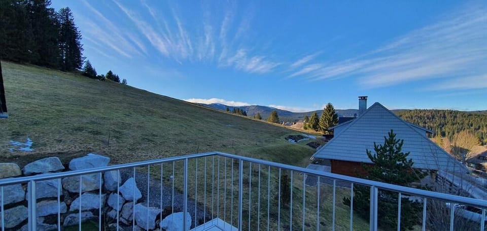 Adlernest Hotel in Hinterzarten