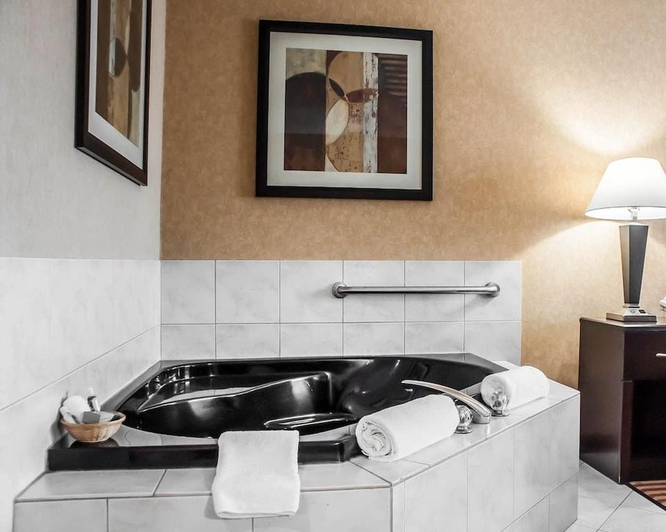 Comfort Inn Hotel in Lake Erie