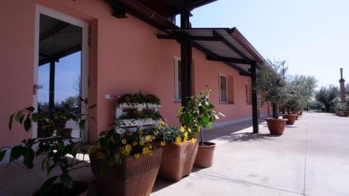 Iter Greenhouse Hotel in Verona