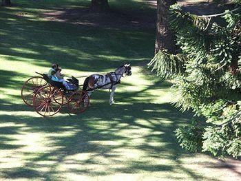 Estancia La Candelaria Hotel in Buenos Aires Province