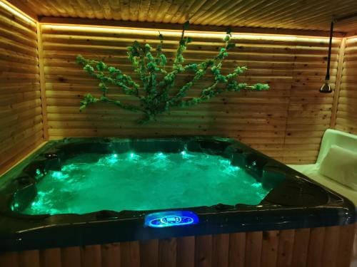 DNT HOUSE &spa Hotel in Craiova