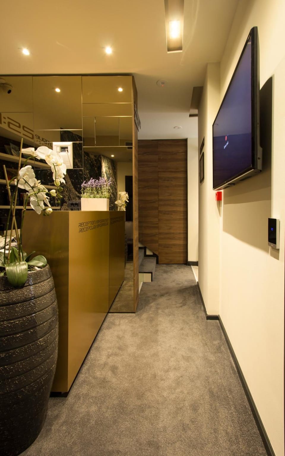 BOUTIQUE 25h by Eva stay 018 Hotel in Serbia