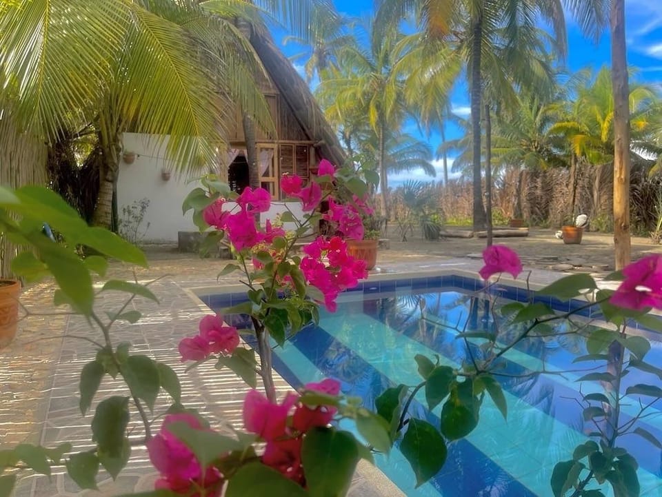 alanacasadeplaya Hotel in Colombia
