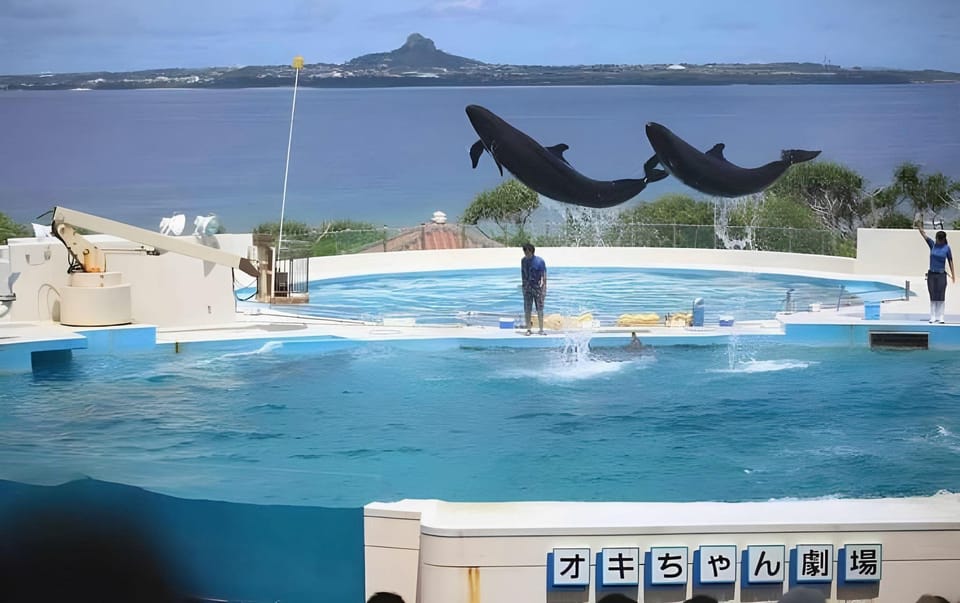 Little Island Okinawa Nago Apartment hotel in Okinawa Prefecture