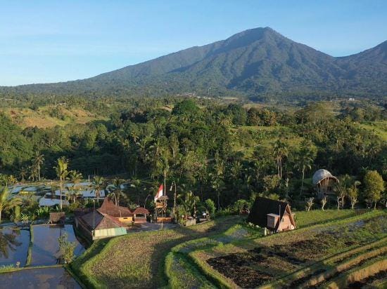 Metta Cabin Rice Terrace Babahan Bali Hotel in Marga