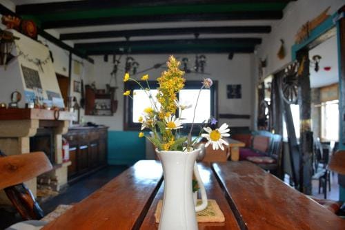 Cabana Andra & Gasthaus Wallner Hotel in Serbia