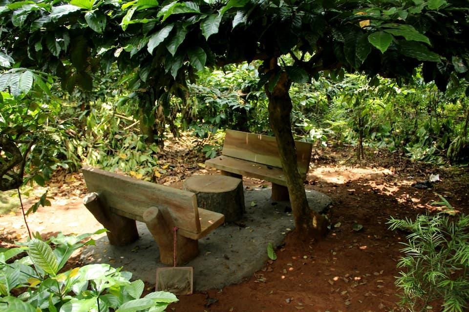 Rest In Nature Resort Hotel in Kerala