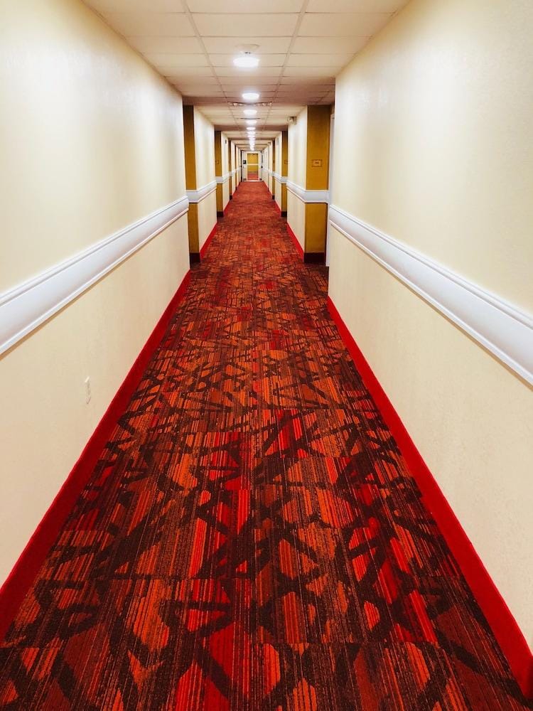 Hotel M, Mt Pocono Hotel in Mount Pocono