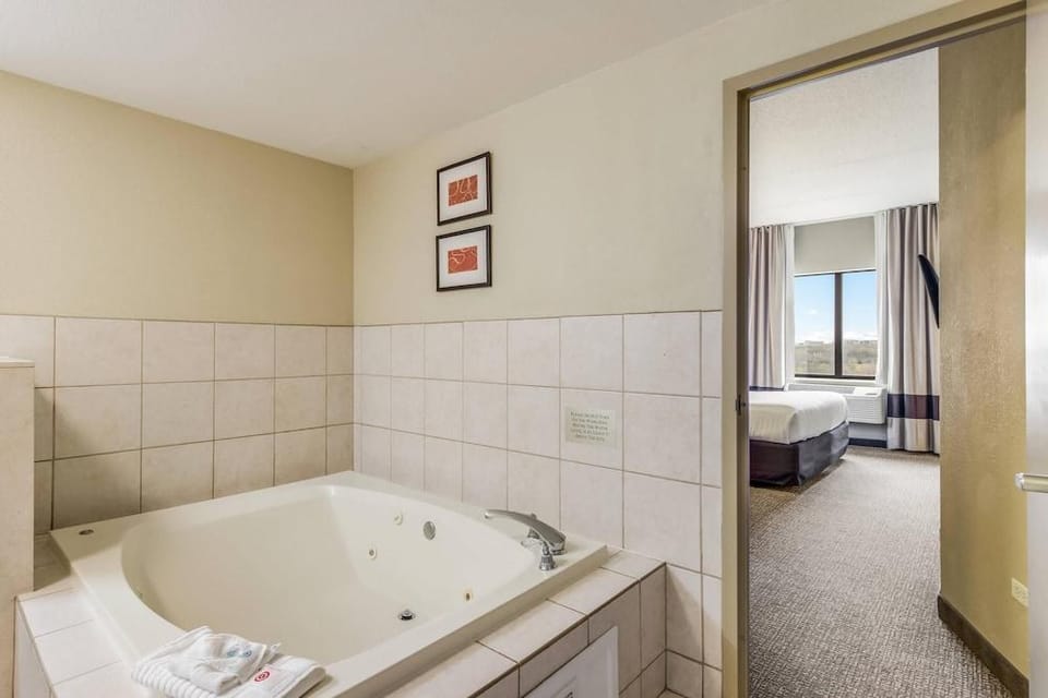 Comfort Suites O'Hare Airport Hotel in Schiller Park