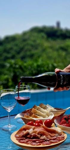 Valentina Guest House at Pintar Wine Estate Hotel in Friuli-Venezia Giulia