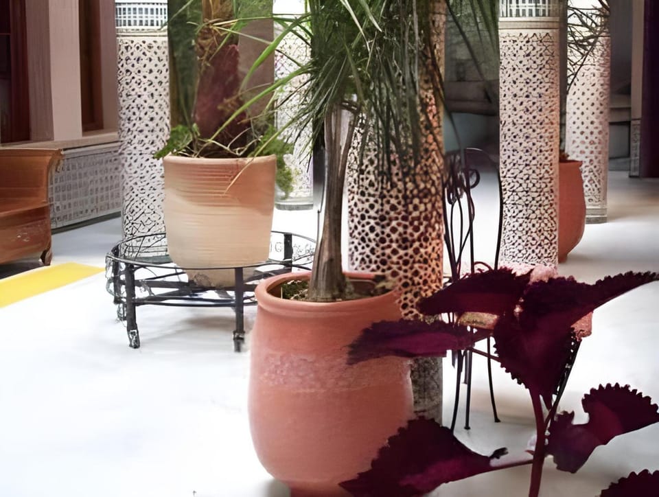 Riad Dar Alia Hotel in Rabat