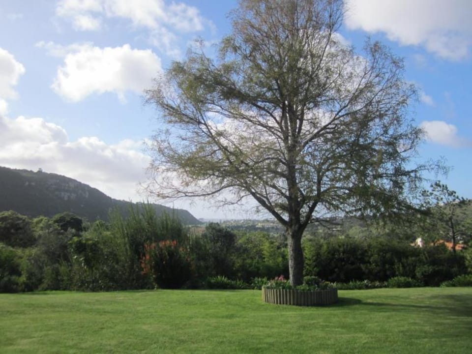 Piesang Valley Lodge Hotel in Plettenberg Bay