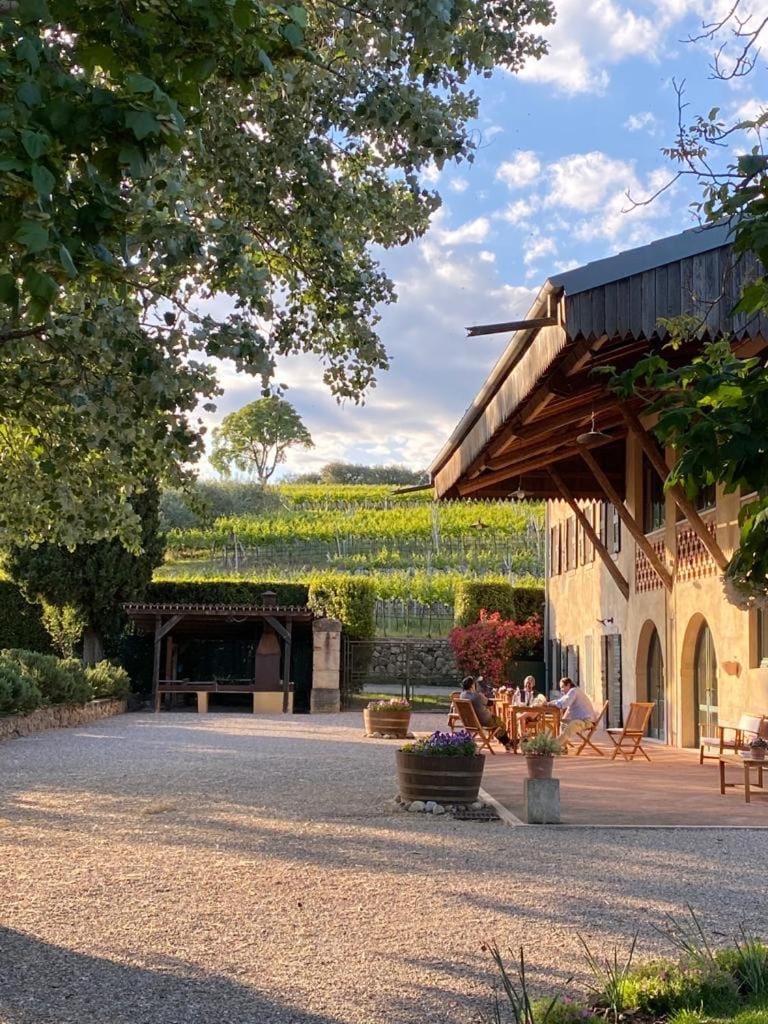 Domus Cariana Hotel in Veneto