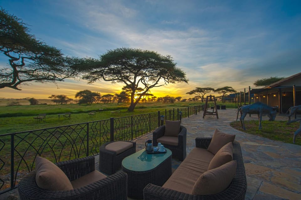 Serengeti Sametu Camp Lodge in Kenya