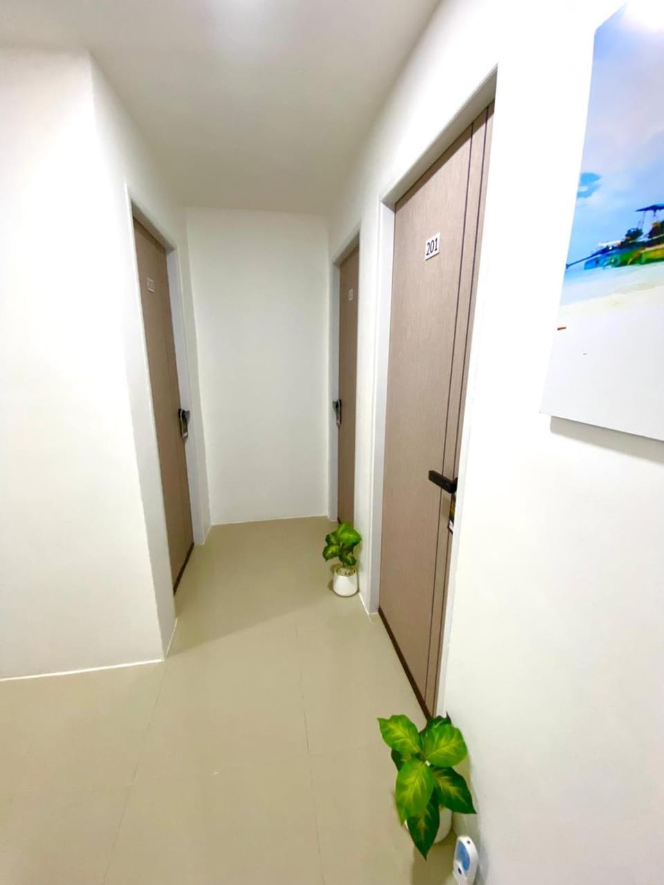 SJ Beach House Patong Hotel in Patong