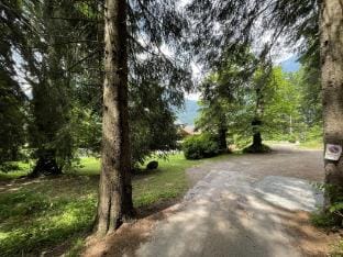 Bilocale immerso nel verde, Pinzolo Hotel in Pinzolo